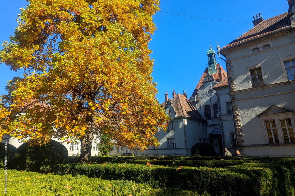 Палац Шенборнів
