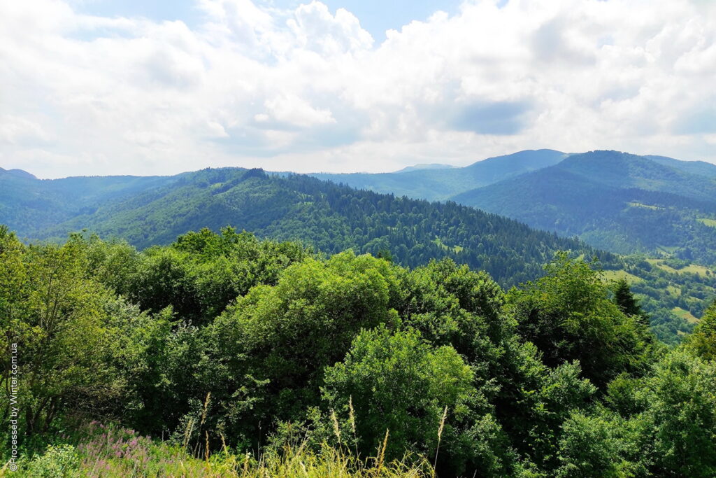Ужанський національний природний парк