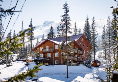 Отель «Alpin Eco Chalet» на Драгобрате